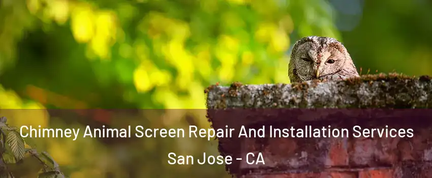  Chimney Animal Screen Repair And Installation Services San Jose - CA