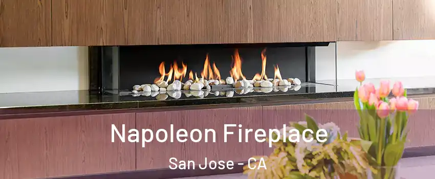  Napoleon Fireplace San Jose - CA