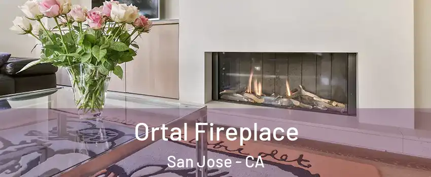  Ortal Fireplace San Jose - CA